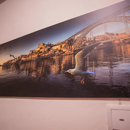 Pensjonat 262 Boutique Aliados Porto