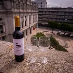 262 Boutique Aliados 4*
